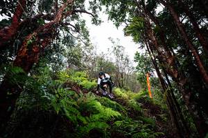 BIB: 
                            <button type="button" onclick="openModal(26203859)" class="btn btn-primary btn-sm float-right btn-popup" data-toggle="modal" data-target=".modal-high-quality">
                        <i class="fas fa-shopping-cart"></i> Add to Cart
                    </button>
                                            <button type="button" onclick="isThisMe(26203859, true)" class="btn btn-success btn-sm float-right btn-popup btn-isme hidden" data-toggle="tooltip" data-placement="bottom" title="นี่คือรูปของคุณใช่ไหม คลิกที่นี่เพื่อเอาเข้าอัลบั้ม">
                        <i class="fas fa-plus"></i> Add to album
                    </button>
                    <button type="button" onclick="isThisMe(26203859, false)" class="btn btn-warning btn-sm float-right btn-popup btn-isnotme hidden">
                        <i class="fas fa-ban"></i> Remove from album
                    </button>